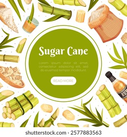 Sugar Cane Banner Design with Stem Plant Vector Template