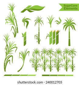 Sugar cane decoration borders, steams and leaves. Collection of elements for design.