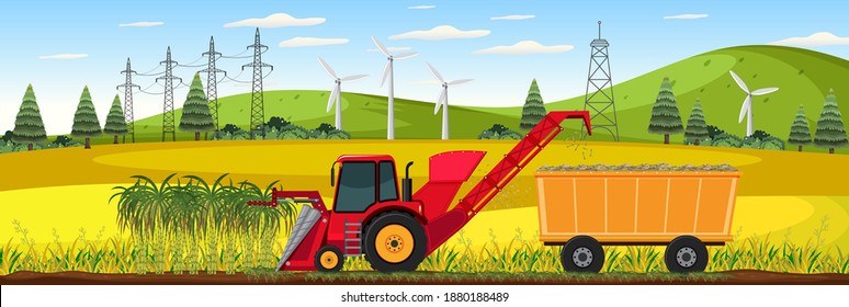 Sugar cane farming harvest at day time illustration