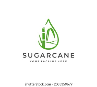 Sugar cane fields, tropical culture logo design. Sugarcane plantation, sugar and food, sugar stem, plant and leaves vector design. Sugarcane harvest stalk logotype