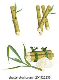 Sugar cane with green leaves, yellow stems, brown, sweet taste