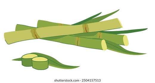 Sugar cane with green leaves and yellow stems. Vector illustration. Cut out reed shoots in flat style on a white background. Ingredient for making sugar, syrup, rum.