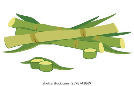 Sugar cane with green leaves and yellow stems. Vector illustration. Cut out reed shoots in flat style on a white background. Ingredient for making sugar, syrup, rum.
