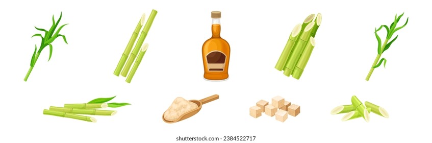 Sugar Cane Green Plant Stem with Leaf and Rum Bottle with Granulated Sugar Vector Set