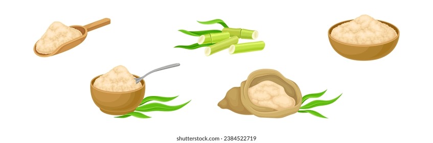 Sugar Cane Green Plant Stem with Leaf and Bowl with Sugar Poder Vector Set