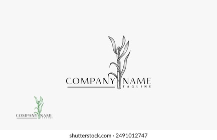 Sugar Cane hand drawn logo, Cane tree vector logo with vintage style