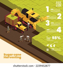 Sugar cane harvesting isometric background depicting collecting process and world statistics of sugar production vector illustration