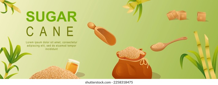 Sugar cane horizontal web banner. Brown granulated sugar in bag or spoon, cubes, stems and leaf, organic natural sweet food. Vector illustration for header website, cover templates in modern design