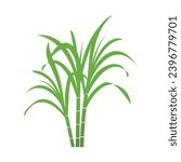 Sugar cane icon Vector Illustration design Logo template