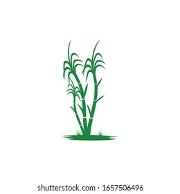 Sugar Cane Icon Vector Illustration Design Logo Template