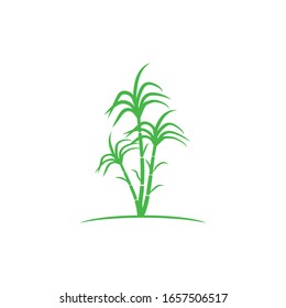 Sugar cane icon Vector Illustration design Logo template