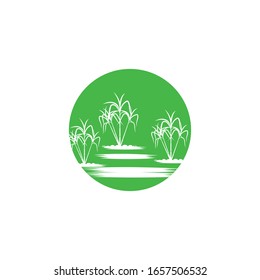 Illustrationsdesign der Logo-Vorlage für die Vektorillustration des Zuckerrohrsymbols