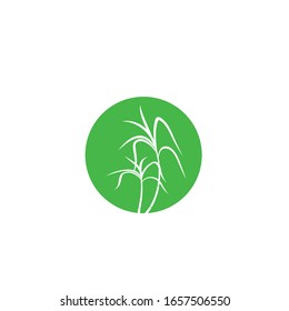 Sugar cane icon Vector Illustration design Logo template
