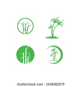 Icono de la caña de azúcar Vector Ilustración de diseño Modelo de logotipo