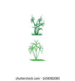 Icono de la caña de azúcar Vector Ilustración de diseño Modelo de logotipo
