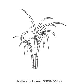 Sugar cane icon Vector Illustration design Logo template