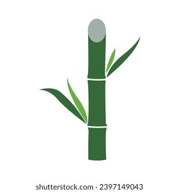 Sugar cane icon Vector Illustration design Logo template