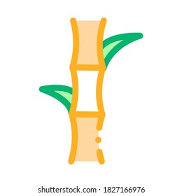 Vector de iconos de la caña de azúcar. Signo de la caña de azúcar de esquema. Ilustración de símbolo de contorno aislado