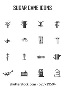 Sugar Cane Icons Vector.