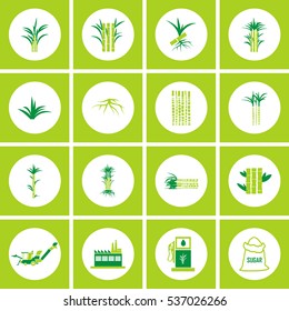 Sugar Cane Icons Vector.