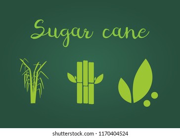 Sugar cane illustration. Sugar and sugar cane labels
