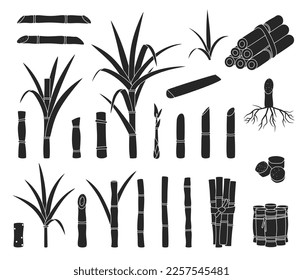 Sugar cane isolated black set icon. Vector black set icon sugarcane. Vector illustration sugar cane on white background.