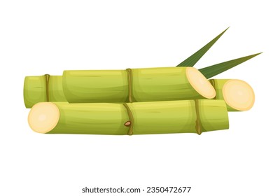 Sugar Cane isolated on white background. Vector eps 10. perfect for wallpaper or design elements