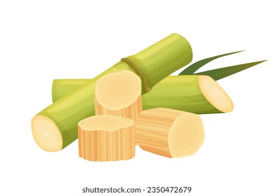 Sugar Cane isolated on white background. Vector eps 10. perfect for wallpaper or design elements