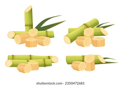 Sugar Cane isolated on white background. Vector eps 10. perfect for wallpaper or design elements