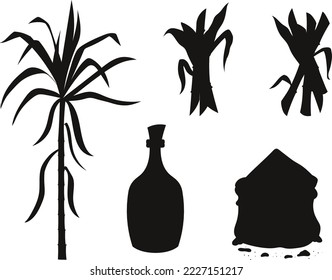 
Sugar cane isolated vector Silhouette