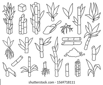 Sugar cane line vector illustration on white background.Sugarcane set icon.Vector illustration of sweet sugar.Set icon of sugarcane plantation.