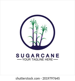 Sugar cane logo icon symbol vector illustration design template