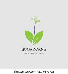 Sugar cane logo icon symbol vector illustration design template