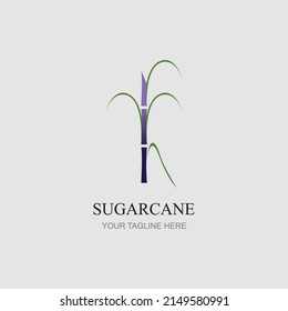 Sugar cane logo icon symbol vector illustration design template