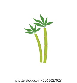 Sugar cane and cane logo.  Cane plant, sugarcane harvest stalk, plant and leaves, sugar ingredient stem. Vector illustration isolated on white background. For template label, packing, web, menu, logo