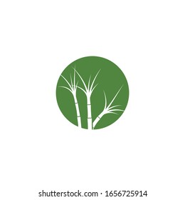 Sugar cane Logo Template vector symbol nature