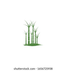 Sugar cane Logo Template vector symbol nature