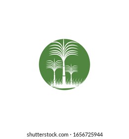 Sugar cane Logo Template vector symbol nature