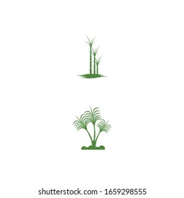 Sugar cane Logo Template vector symbol nature