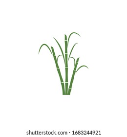 Sugar cane Logo Template vector symbol nature