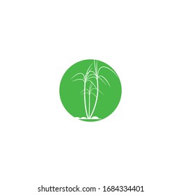 Sugar cane Logo Template vector symbol nature