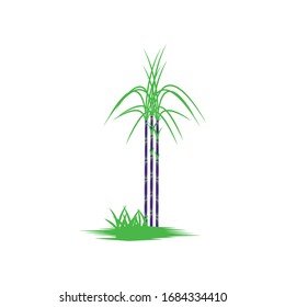 Sugar cane Logo Template vector symbol nature