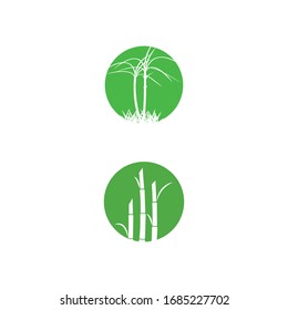 Sugar cane Logo Template vector symbol nature