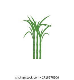 Sugar cane Logo Template vector symbol nature