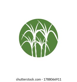 Sugar cane Logo Template vector symbol nature