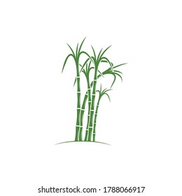 Sugar cane Logo Template vector symbol nature