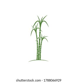 Sugar cane Logo Template vector symbol nature