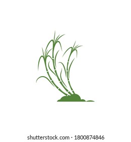 Sugar cane Logo Template. vector symbol nature