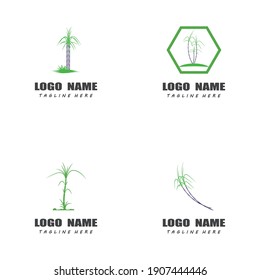 Naturaleza del símbolo vectorial de la plantilla del logotipo de la caña de azúcar