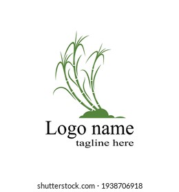 Sugar cane Logo Template vector symbol nature